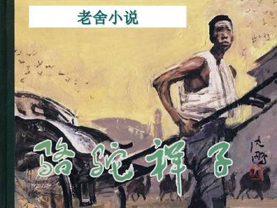 pr九尾狐正能量视频在线观看网站